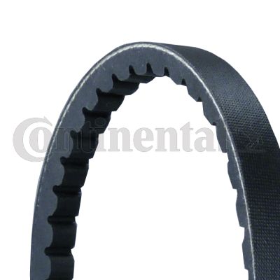 CONTINENTAL CTAM 2XAVX13X1025 V-Belt Set