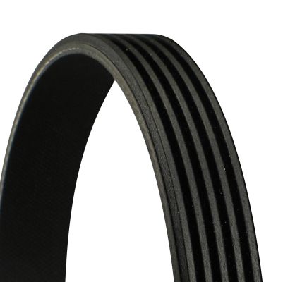 CONTINENTAL CTAM 5PK1270 V-Ribbed Belt