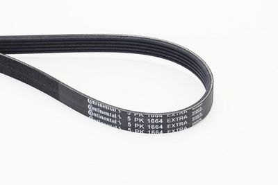V-Ribbed Belt CONTINENTAL CTAM 5PK1664 EXTRA