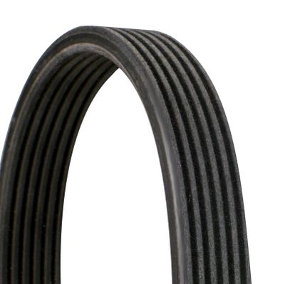 V-Ribbed Belt CONTINENTAL CTAM 6DPK1352