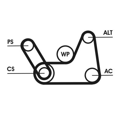 CONTINENTAL CTAM 6PK1019 ELAST T1 V-Ribbed Belt Set