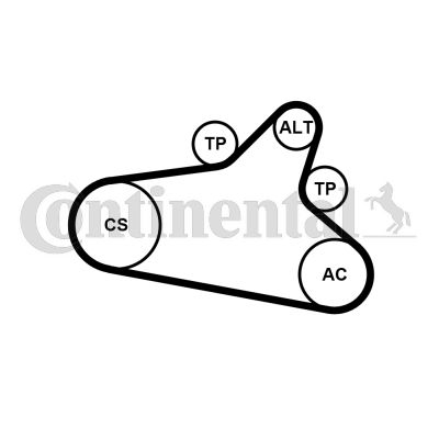 CONTINENTAL CTAM 6PK1020 EXTRA K1 V-Ribbed Belt Set