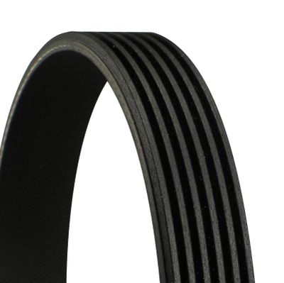 V-Ribbed Belt CONTINENTAL CTAM 6PK1073 EXTRA