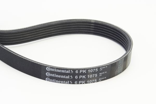 CONTINENTAL CTAM 6PK1075 V-Ribbed Belt