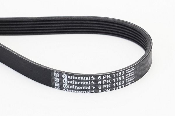 CONTINENTAL CTAM 6PK1153 V-Ribbed Belt