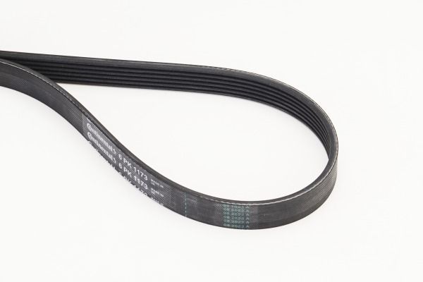 CONTINENTAL CTAM 6PK1173 V-Ribbed Belt