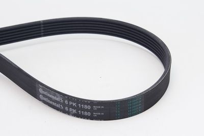 V-Ribbed Belt CONTINENTAL CTAM 6PK1180