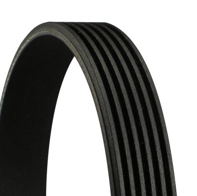 CONTINENTAL CTAM 6PK1240 V-Ribbed Belt