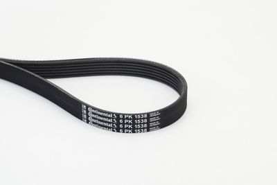 V-Ribbed Belt CONTINENTAL CTAM 6PK1538