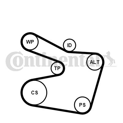 Water Pump + V-Ribbed Belt Kit CONTINENTAL CTAM 6PK1538WP2