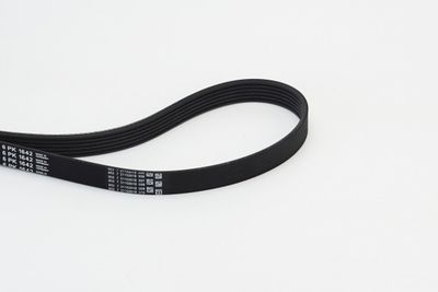 V-Ribbed Belt CONTINENTAL CTAM 6PK1642