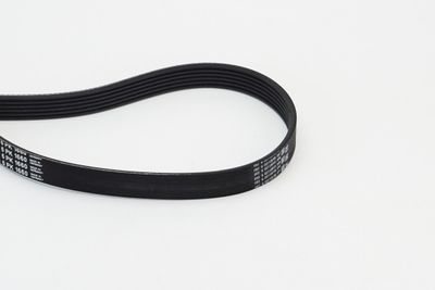 V-Ribbed Belt CONTINENTAL CTAM 6PK1660