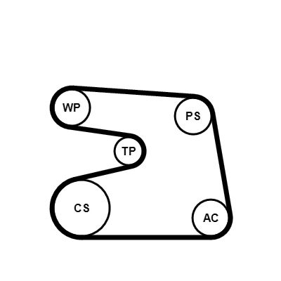 Water Pump + V-Ribbed Belt Kit CONTINENTAL CTAM 6PK1873WP2