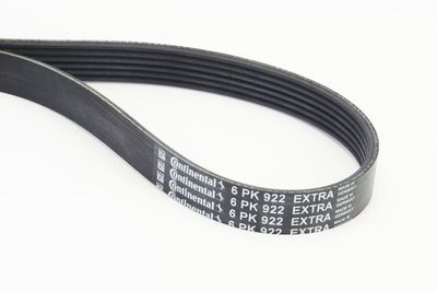 V-Ribbed Belt CONTINENTAL CTAM 6PK922 EXTRA