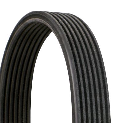 V-Ribbed Belt CONTINENTAL CTAM 7DPK1884