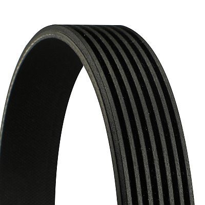 V-Ribbed Belt CONTINENTAL CTAM 7PK1051 ELAST