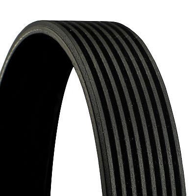 V-Ribbed Belt CONTINENTAL CTAM 8PK1025