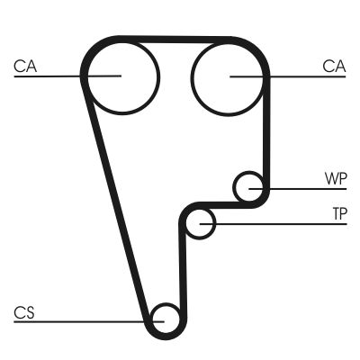 Timing Belt CONTINENTAL CTAM CT1006