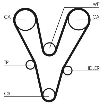 Timing Belt CONTINENTAL CTAM CT1073