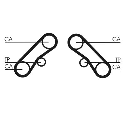 Timing Belt CONTINENTAL CTAM CT1074