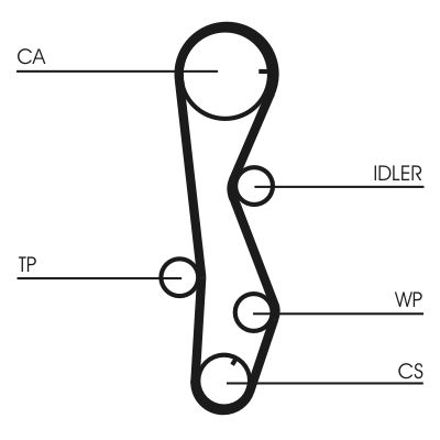 CONTINENTAL CTAM CT1099WP1 Water Pump & Timing Belt Kit