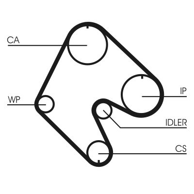 Timing Belt CONTINENTAL CTAM CT529