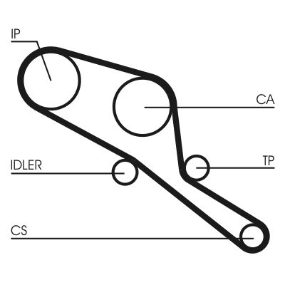 Timing Belt CONTINENTAL CTAM CT550