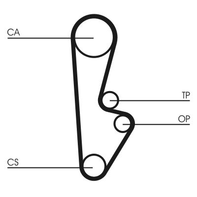 Timing Belt CONTINENTAL CTAM CT559