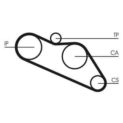 Timing Belt CONTINENTAL CTAM CT612