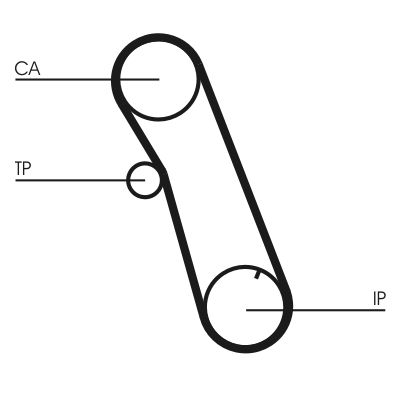 Timing Belt CONTINENTAL CTAM CT616