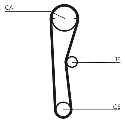 Timing Belt CONTINENTAL CTAM CT669