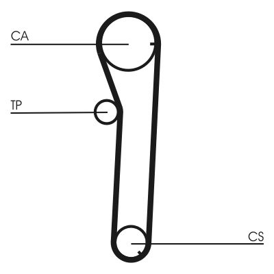 Timing Belt CONTINENTAL CTAM CT672