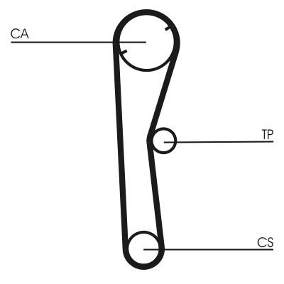 Timing Belt CONTINENTAL CTAM CT674