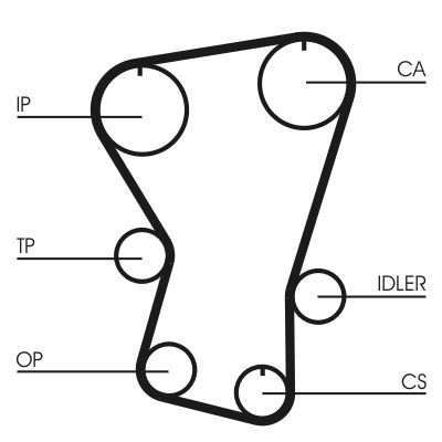 CONTINENTAL CTAM CT677 Timing Belt