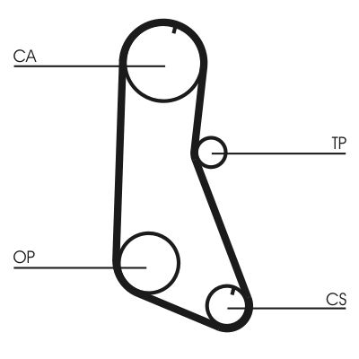 Timing Belt CONTINENTAL CTAM CT716