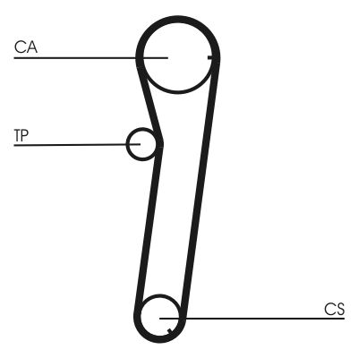 Timing Belt CONTINENTAL CTAM CT739