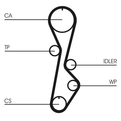 Timing Belt CONTINENTAL CTAM CT774