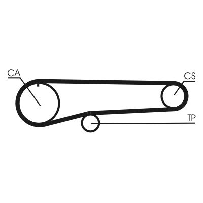 Timing Belt CONTINENTAL CTAM CT779