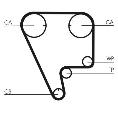 Timing Belt CONTINENTAL CTAM CT794