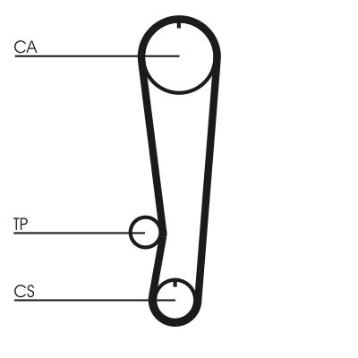 Timing Belt CONTINENTAL CTAM CT808