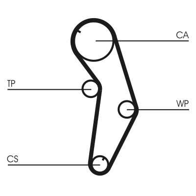 Timing Belt CONTINENTAL CTAM CT821