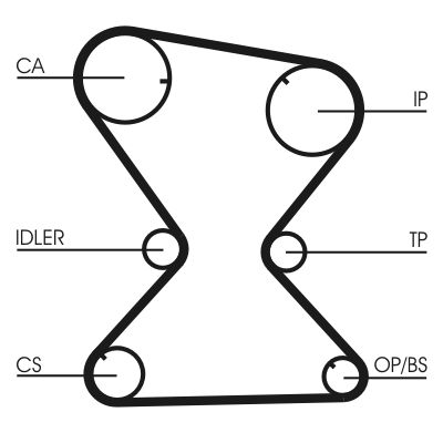 Timing Belt CONTINENTAL CTAM CT842