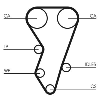 Timing Belt CONTINENTAL CTAM CT864