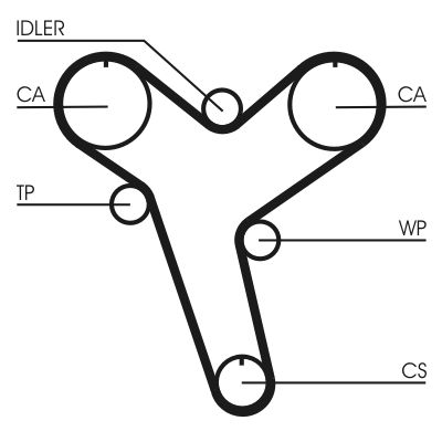 Timing Belt CONTINENTAL CTAM CT894