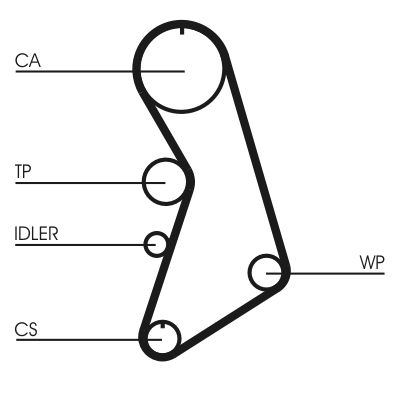 Water Pump & Timing Belt Kit CONTINENTAL CTAM CT909WP5