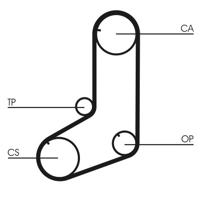 Timing Belt CONTINENTAL CTAM CT911