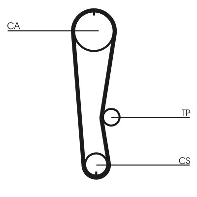 Timing Belt CONTINENTAL CTAM CT936