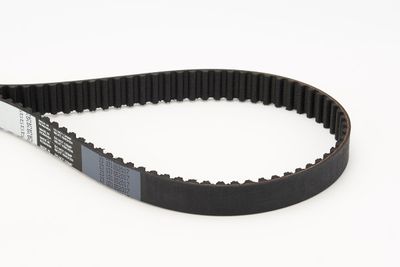 Timing Belt CONTINENTAL CTAM CT975