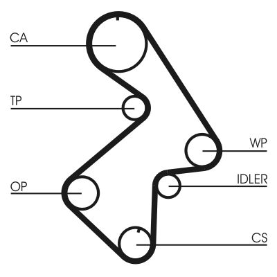 Timing Belt CONTINENTAL CTAM CT998