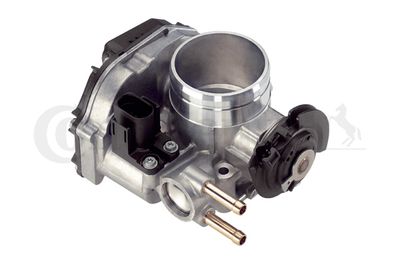 Throttle Body CONTINENTAL/VDO 408-237-111-003Z